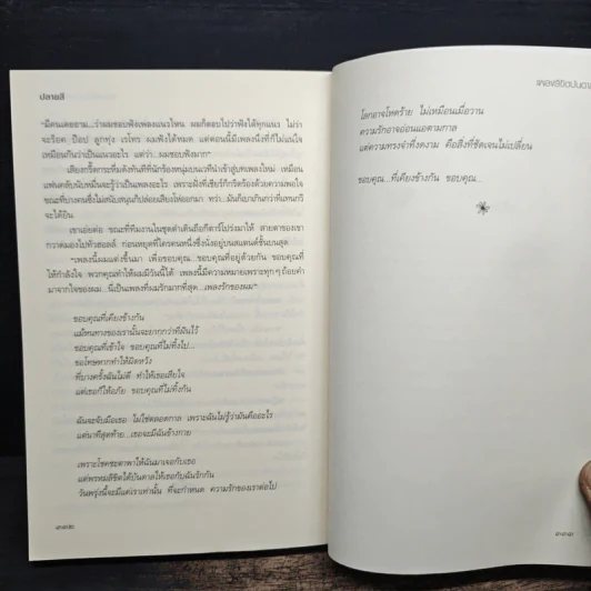 เพลงลิขิตบันดาลชักพา - ปลายสี รูปที่ 8