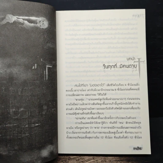Immortal ซากสุสาน - เตมัน รูปที่ 7