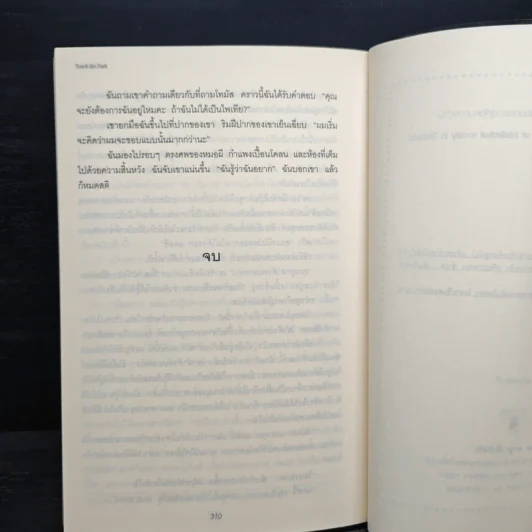 Touch the Dark สัมผัสรักแวมไพร์ - Karen Chance, พน พรรคมีนนท์ รูปที่ 8