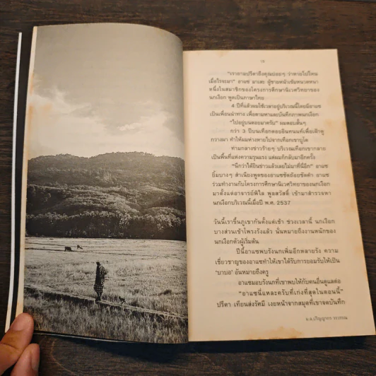 นก คน ฝน ไฟ - ม.ล.ปริญญากร วรวรรณ รูปที่ 7