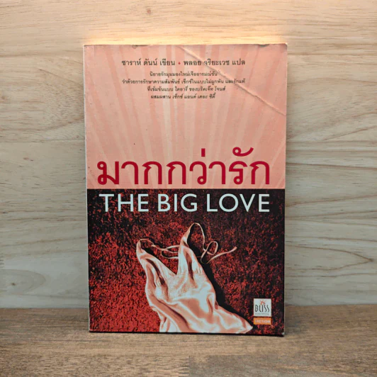 มากกว่ารัก The Big love - ซาราห์ ดันน์ เขียน, พลอย จริยะเวช รูปที่ 1