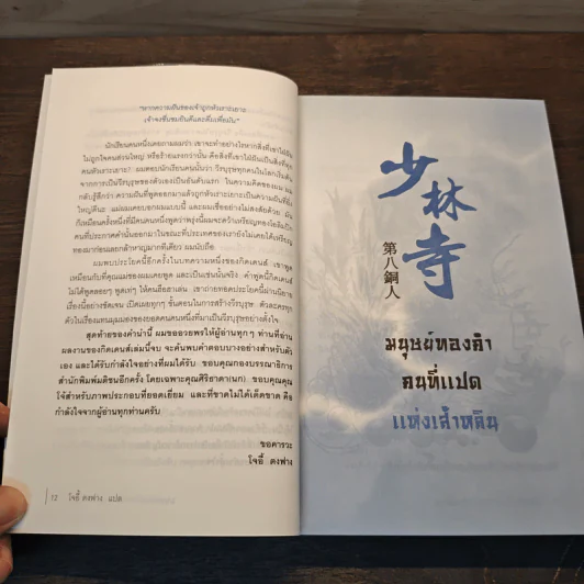 มนุษย์ทองคำคนที่แปดแห่งเส้าหลิน - โจอี้ ตงฟาง รูปที่ 8