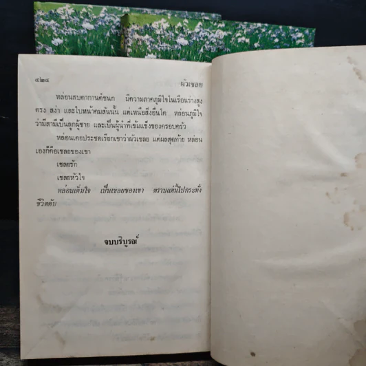 ผัวเชลย 3 เล่มจบ - จามรี พรรณชมพู รูปที่ 8