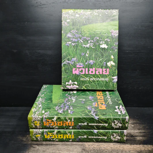 ผัวเชลย 3 เล่มจบ - จามรี พรรณชมพู รูปที่ 1