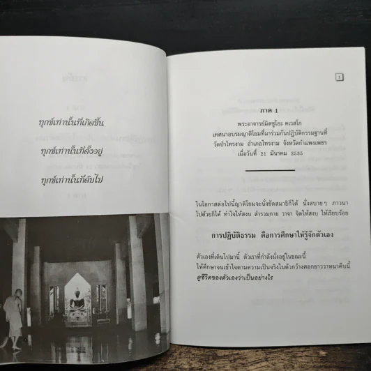 ทุกข์เพราะคิดผิด - พระอาจารย์มิตซูโอะ คเวสโก รูปที่ 8