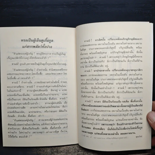 พุทธวัจน์ รูปที่ 8