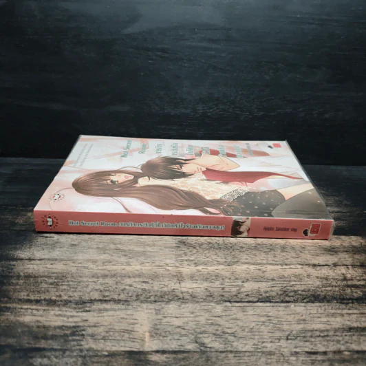 Hot Secret Room ภารกิจ กระซิบรักใกล้ชิดหัวใจร้ายเกินควบคุม! - Hideko_Sunshine รูปที่ 3