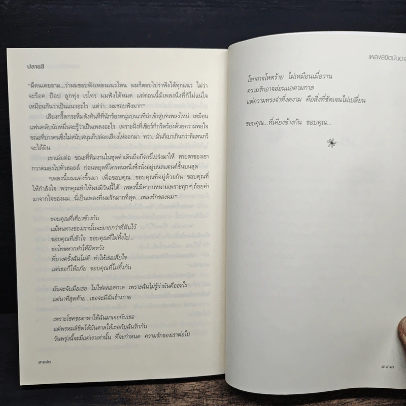 เพลงลิขิตบันดาลชักพา - ปลายสี รูปที่ 8