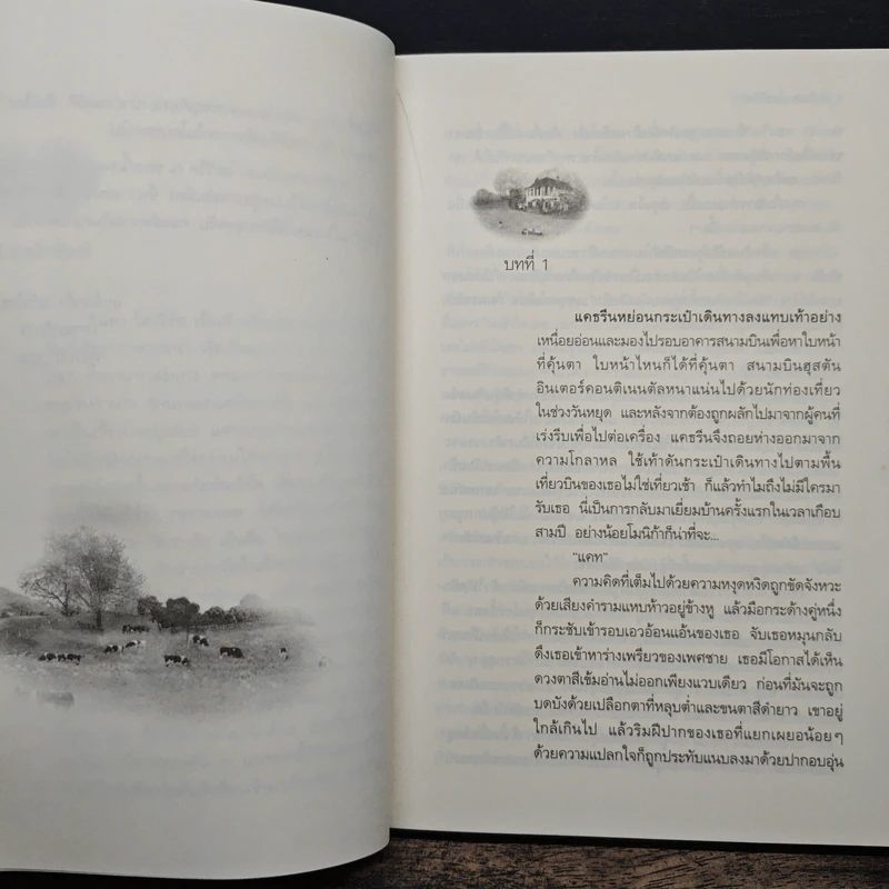 ไร่รักเรือนตะวัน Against The Rules - พิชญา รูปที่ 7