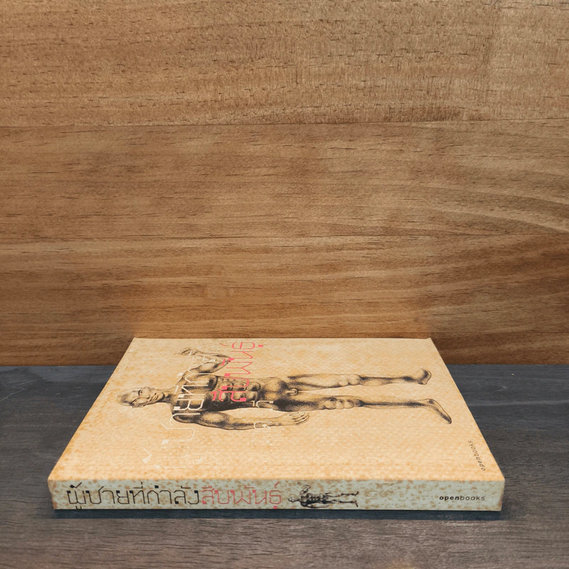 ผู้ชายที่กำลังสืบพันธุ์ - วาด รวี รูปที่ 2