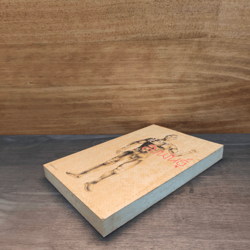 ผู้ชายที่กำลังสืบพันธุ์ - วาด รวี รูปที่ 3
