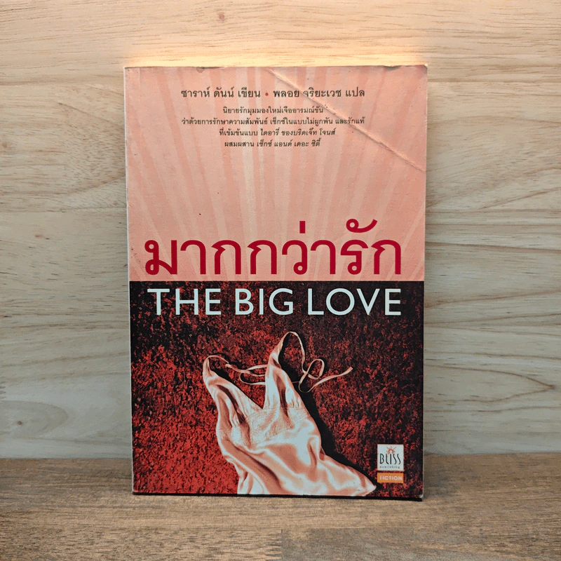 มากกว่ารัก The Big love - ซาราห์ ดันน์ เขียน, พลอย จริยะเวช รูปที่ 1