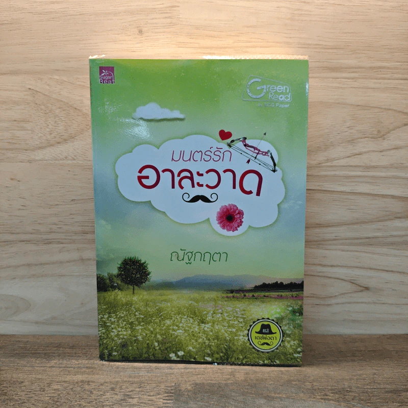 มนตร์รักอาละวาด - ณัฐกฤตา รูปที่ 1