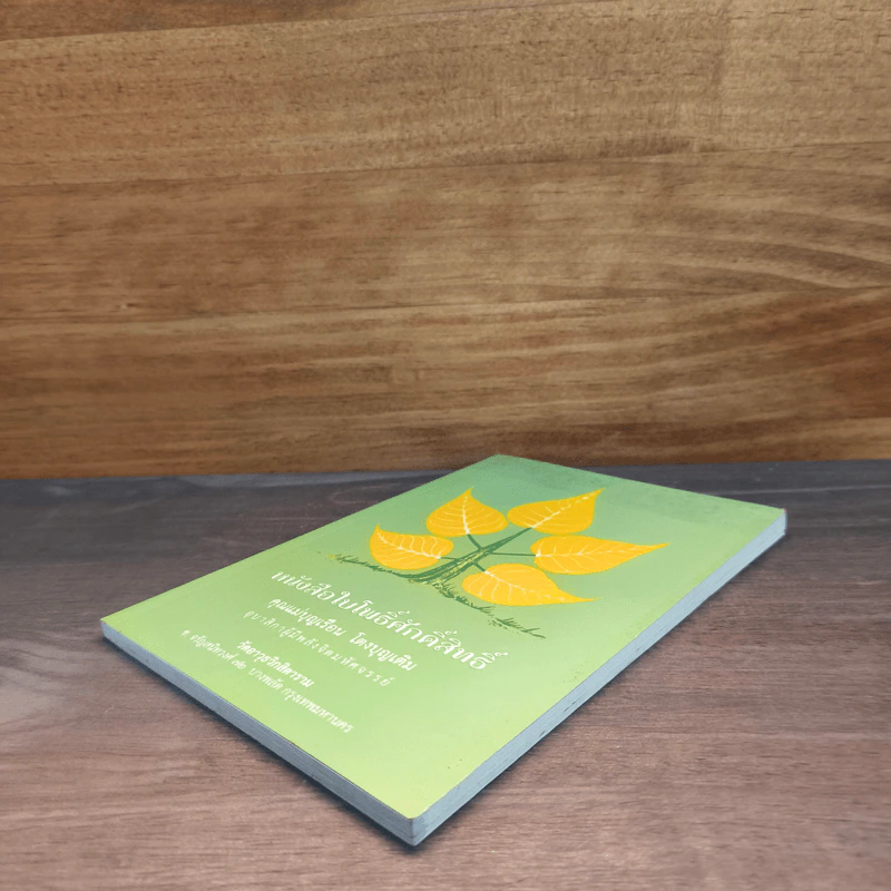 หนังสือใบโพธิ์ศักดิ์สิทธิ์ - คุณแม่บุญเรือน โตงบุญเติม รูปที่ 3
