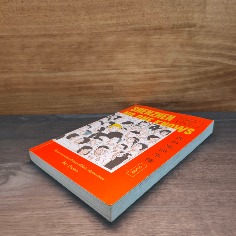 บันทึกลับเซินเจิ้น - ศิลา บัวเพชร รูปที่ 3
