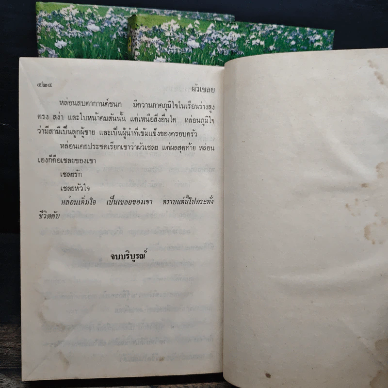 ผัวเชลย 3 เล่มจบ - จามรี พรรณชมพู รูปที่ 8