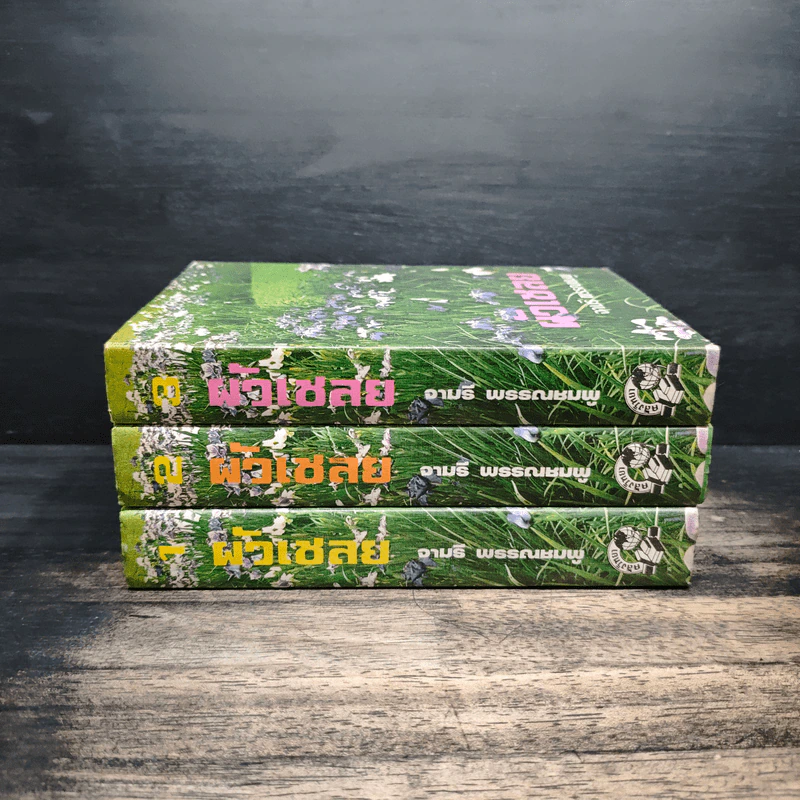 ผัวเชลย 3 เล่มจบ - จามรี พรรณชมพู รูปที่ 2