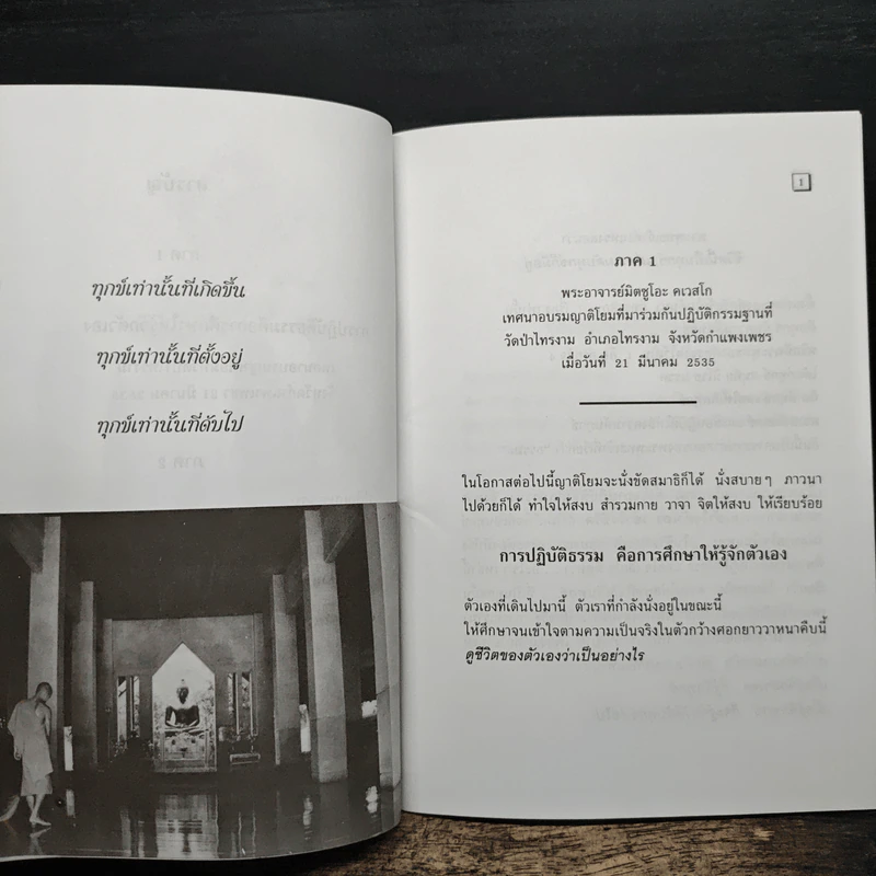 ทุกข์เพราะคิดผิด - พระอาจารย์มิตซูโอะ คเวสโก รูปที่ 8