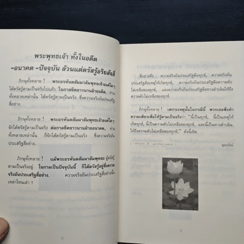 พุทธวัจน์ รูปที่ 6