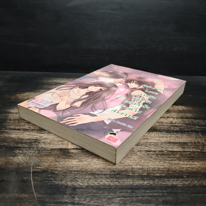 Hot Secret Love ภารกิจขยับรักเขย่าหัวใจร้ายเกินต้านทาน! - Hideko_Sunshine รูปที่ 4