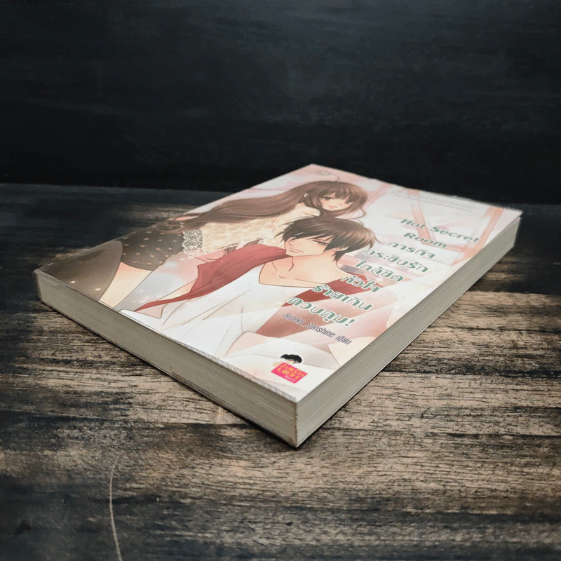 Hot Secret Room ภารกิจ กระซิบรักใกล้ชิดหัวใจร้ายเกินควบคุม! - Hideko_Sunshine รูปที่ 4