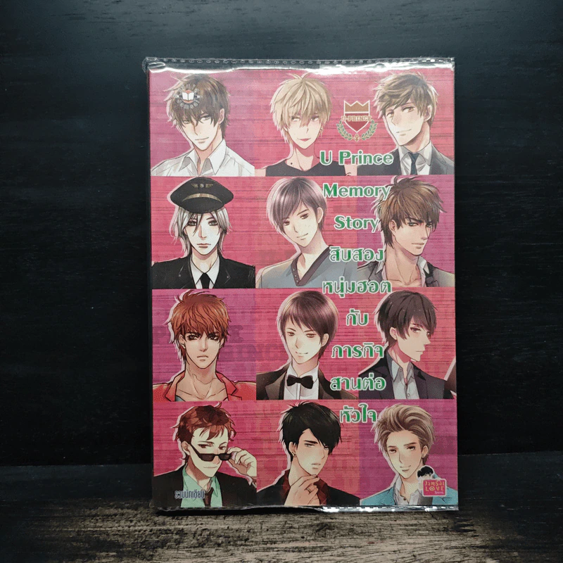 U Prince Memory Story สิบสองหนุ่มฮอตกับภารกิจสานต่อหัวใจ รูปที่ 1