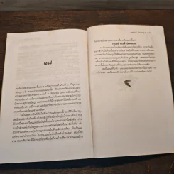 ฟ้าใหม่ในซานมาร์โค แปลจากเรื่อง Don Quixote U.S.A. ของ Richard Powell - เทศภักดิ์ นิยมเหตุ รูปที่ 9