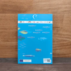 Fish of the Mediterranean Sea รูปที่ 5
