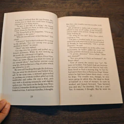 The Diamond Brothers in The French Confection & The Greek Who Stole Christmas - Anthony Horowitz รูปที่ 7