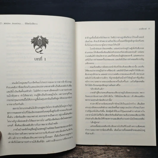 White destiny...ลิขิตรักสีขาว - อะมีราห์ รูปที่ 8