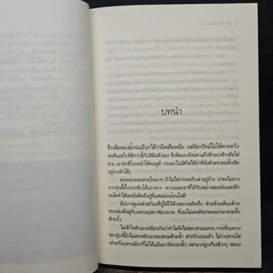 ดั่งฝันวันวาน - นณกร รูปที่ 7