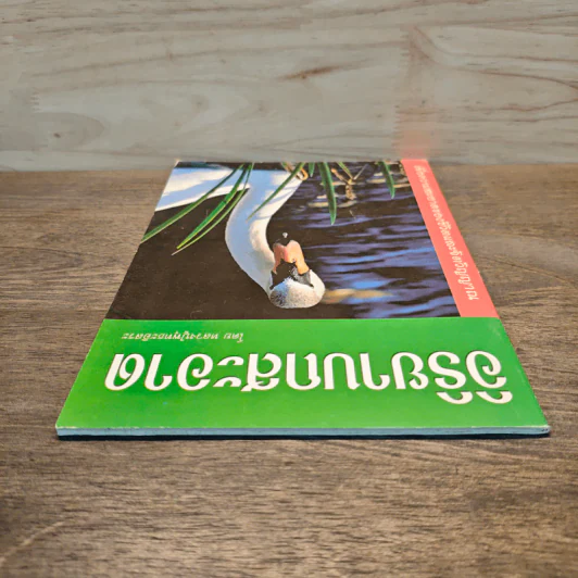 อิริยาบถสะอาด - หลวงปู่พุทธะอิสระ รูปที่ 4