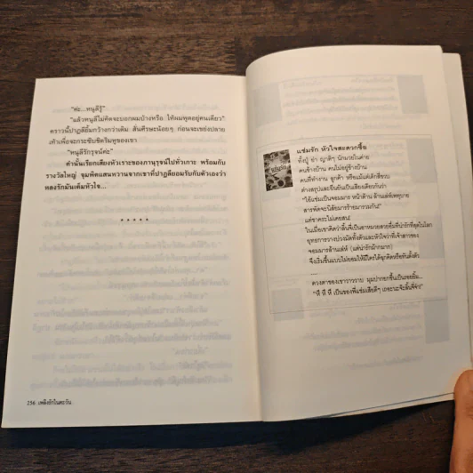 เพลิงรักในตะวัน - พราวตะวัน รูปที่ 8
