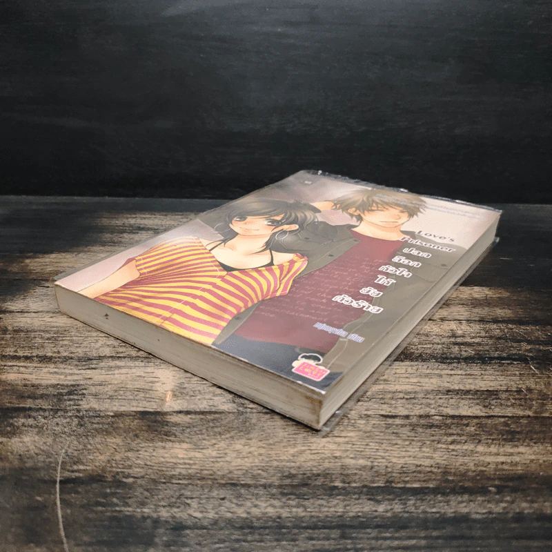 Love's Prisoner ปลดล็อกหัวใจให้ยัยตัวร้าย - หนุ่มกรุงโซล รูปที่ 4