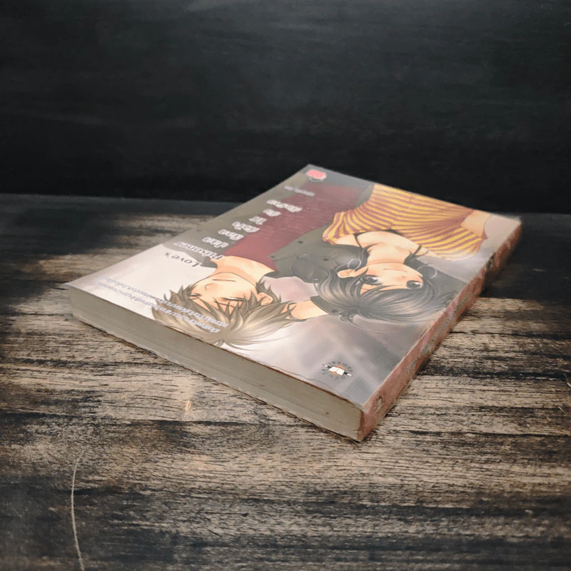 Love's Prisoner ปลดล็อกหัวใจให้ยัยตัวร้าย - หนุ่มกรุงโซล รูปที่ 5