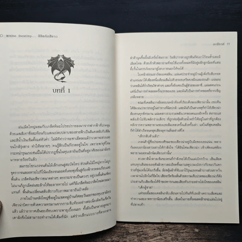 White destiny...ลิขิตรักสีขาว - อะมีราห์ รูปที่ 8