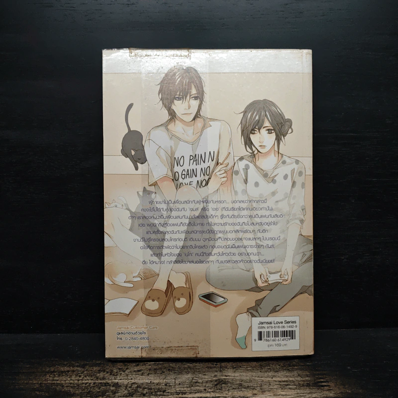 My Best (Boy) Friend เพื่อนสนิทคิดไกล หัวใจมีรัก - เจ้าหญิงผู้เลอโฉม รูปที่ 2