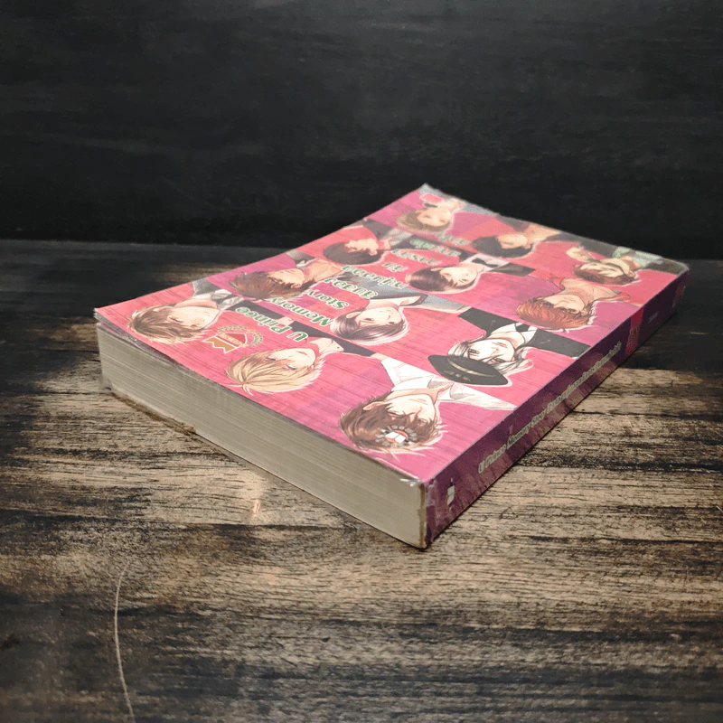 U Prince Memory Story สิบสองหนุ่มฮอตกับภารกิจสานต่อหัวใจ รูปที่ 5