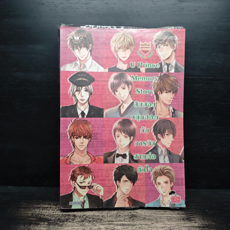 U Prince Memory Story สิบสองหนุ่มฮอตกับภารกิจสานต่อหัวใจ รูปที่ 1