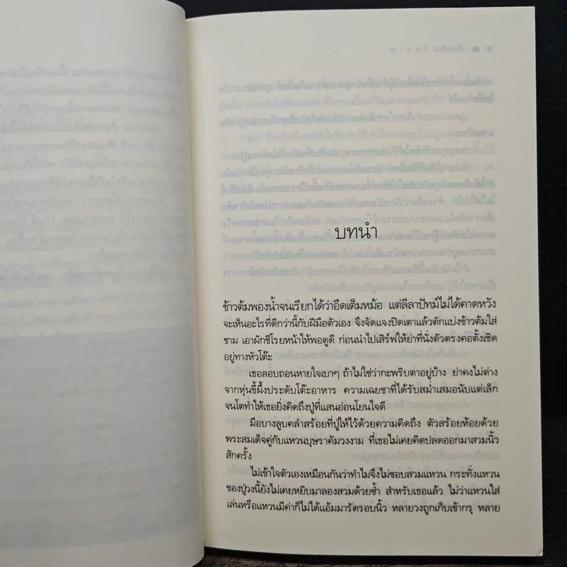 ดั่งฝันวันวาน - นณกร รูปที่ 7