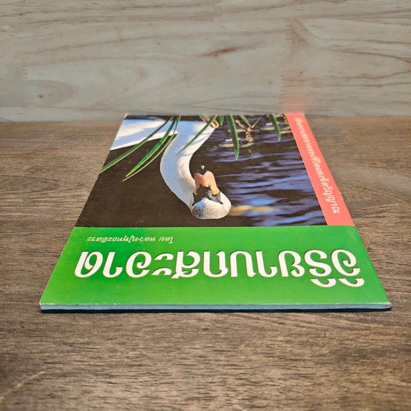 อิริยาบถสะอาด - หลวงปู่พุทธะอิสระ รูปที่ 4