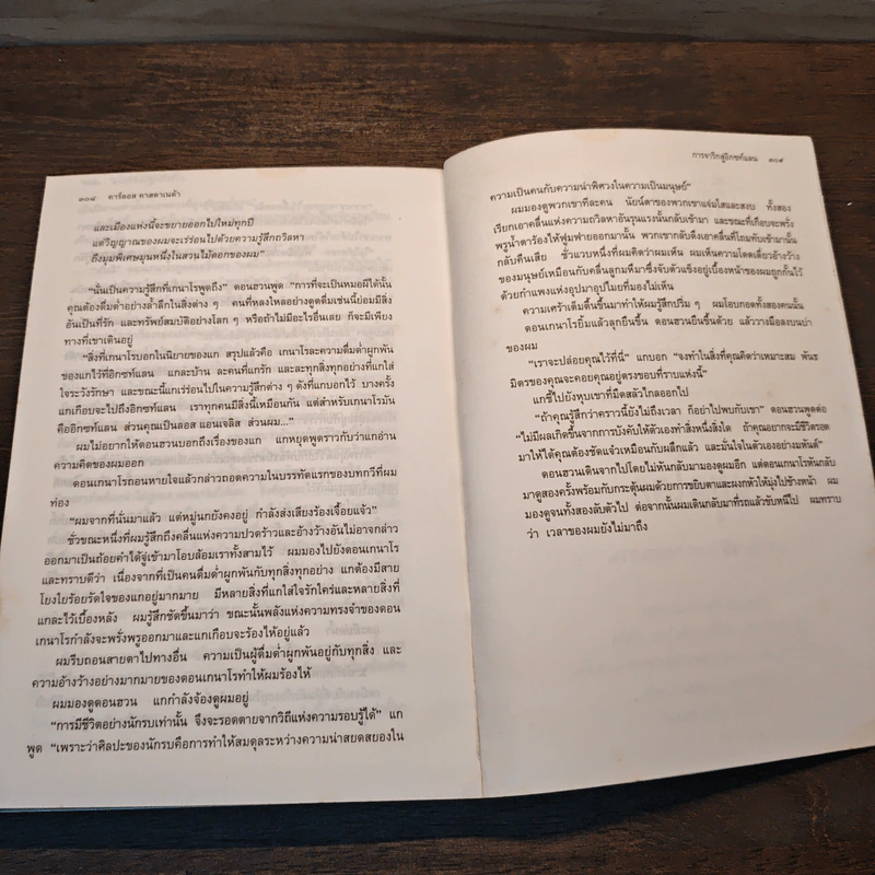 หยุดโลก บทเรียนชีวิตจากดอนฮวน - คาร์ลอส คาสตาเนด้า, พยับแดด รูปที่ 10