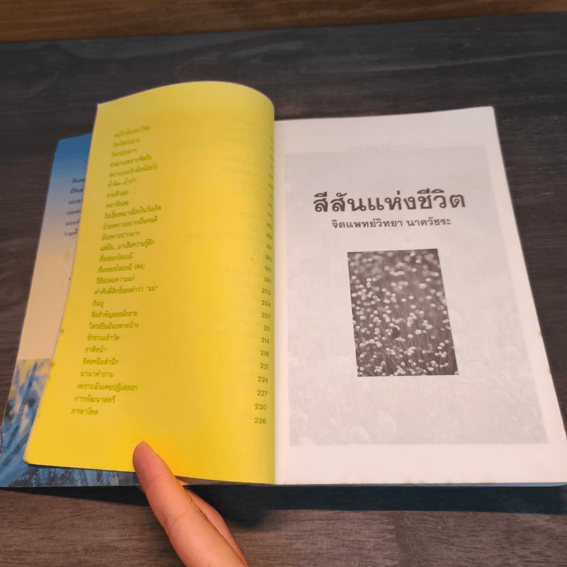สีสันแห่งชีวิต - จิตแพทย์วิทยา นาควัชระ รูปที่ 8