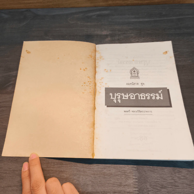 บุรุษอาธรรม์ - วิจิตรวาทการ รูปที่ 6