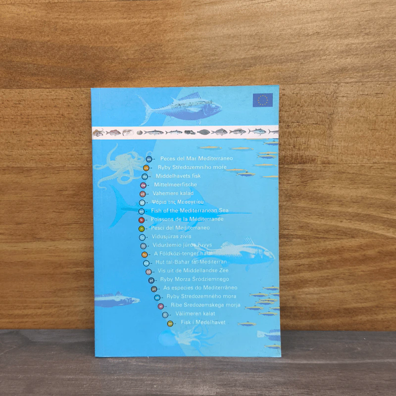 Fish of the Mediterranean Sea รูปที่ 1