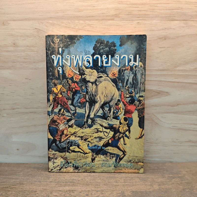 ทุ่งพลายงาม - น้อย อภิรุม รูปที่ 1