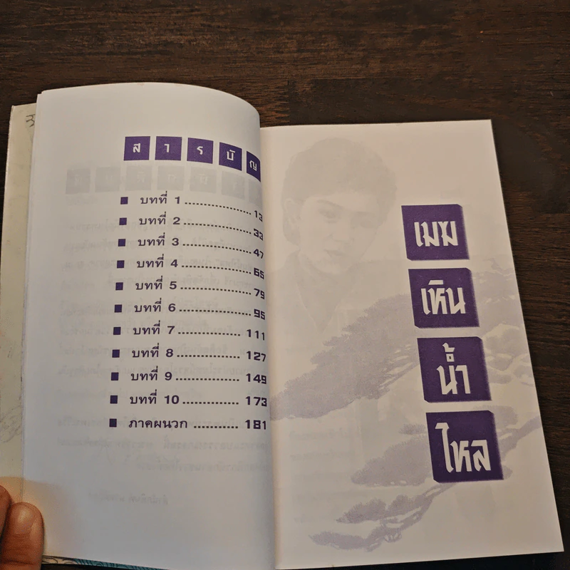 เมฆเหิน น้ำไหล - สมเด็จพระเทพรัตนราชสุดาฯ รูปที่ 7