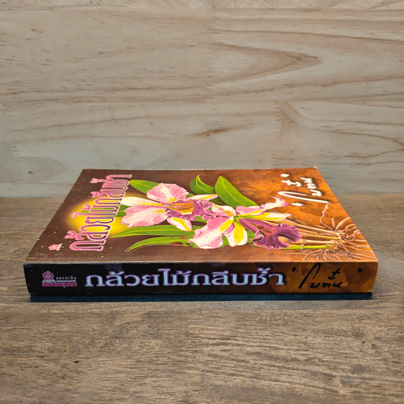 กล้วยไม้กลีบช้ำ - โบตั๋น รูปที่ 2