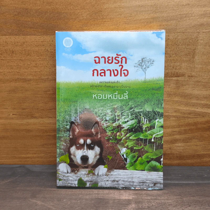 ฉายรักกลางใจ - หอมหมื่นลี้ รูปที่ 1