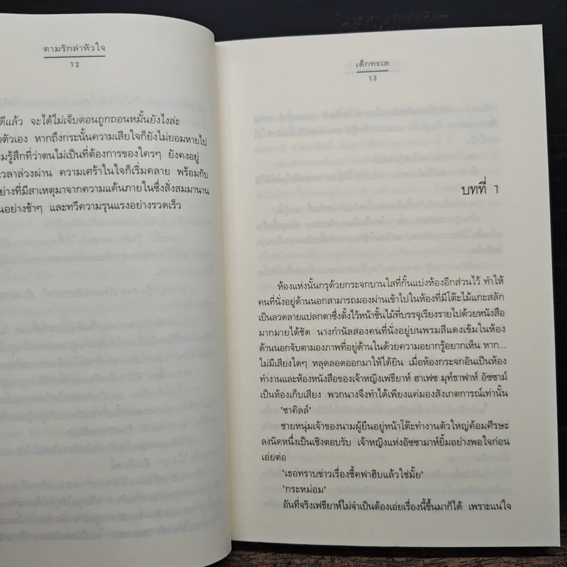 ตามรักล่าหัวใจ - เด็กทะเล รูปที่ 8